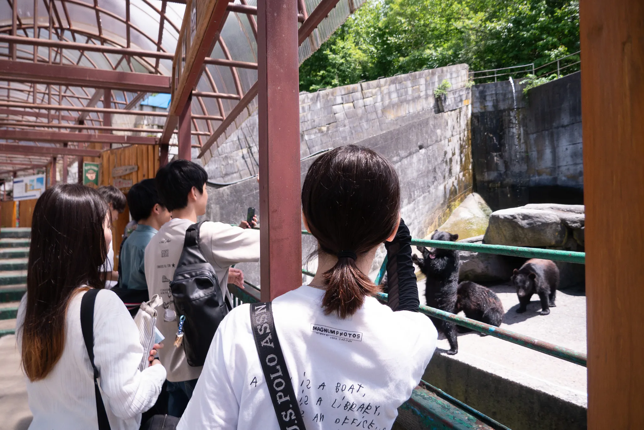 P1390967.jpg (902.9 kB)