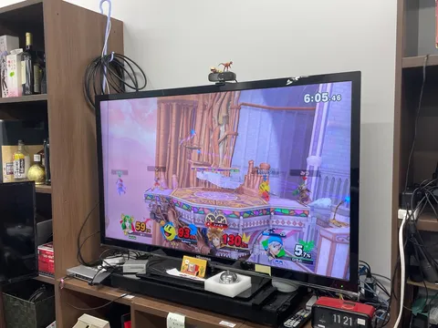 梶研を見守る恐竜