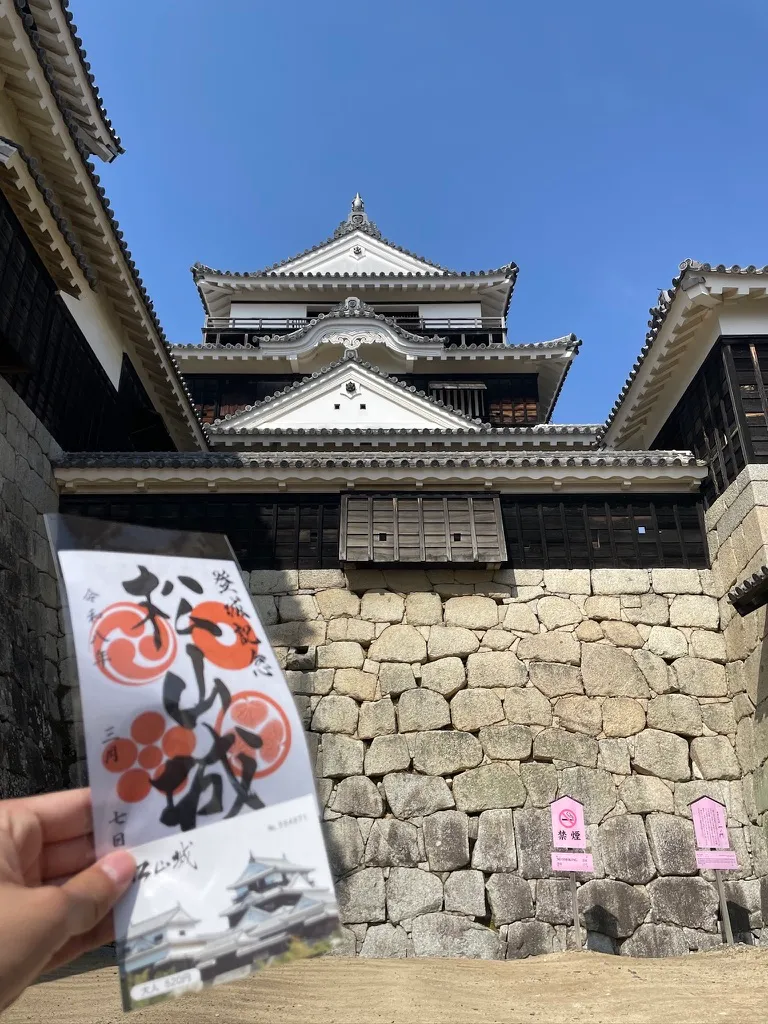 59ACC5CE-78BB-4940-A8C3-2D4D76082CA1_1_105_c.jpeg (338.3 kB)